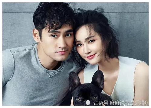 娱乐圈吃瓜小达人是什么,吃瓜小达人的八卦江湖